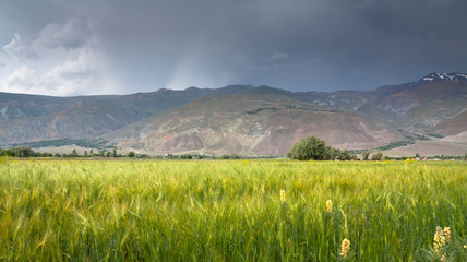 Mountain landscape