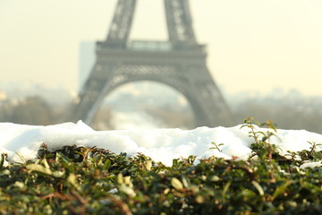 Eiffel Tower