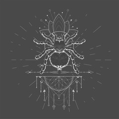 Vector illustration with hand drawn Spider Tarantula and Sacred symbol LOTUS on black background. Abstract mystic sign. White linear shape. For you design, tattoo or magic craft.