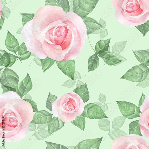 Delicate roses. Hand drawn watercolor floral seamless pattern