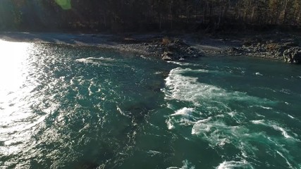 Wall Mural - Low flight over fresh cold mountain river. Altai, Katun river. 4k (UHD) aerial view. 