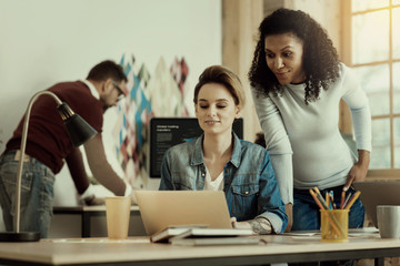 Two colleagues looking through the project details on a laptop