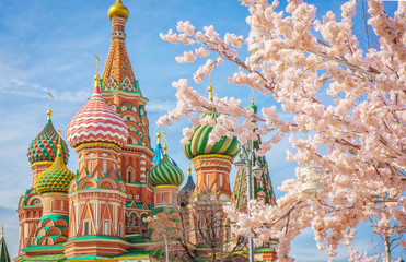 Moscow and St. Basil Cathedral at spring day through flowering tree