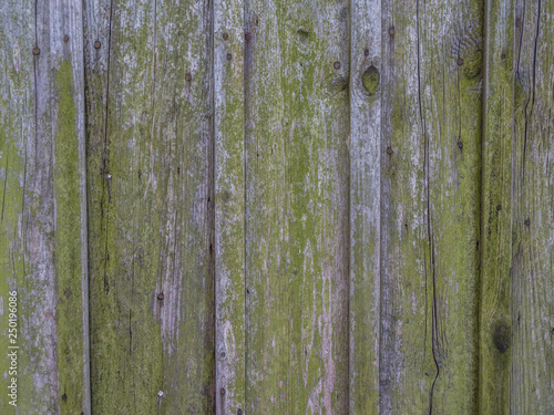 Verwitterter Holzzaun Im Garten Buy This Stock Photo And Explore