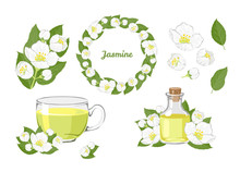 Jasmine Set. Branch, Wreath, Tea And Essential Oil Isolated On White Background. Vector Illustration Of White Jessamine Flowers And Green Leaves In Cartoon Flat Style.
