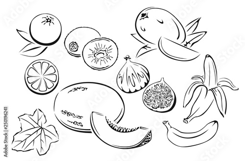 set of fruits black and white image of melon kiwi mango orange banana fig vector illustration in cartoon simple flat style buy this stock vector and explore similar vectors at adobe
