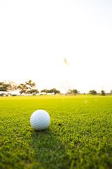 Green grass with golf ball close-up in soft focus at sunlight. Sport playground for golf club concept