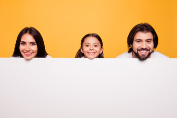 Sticker - Portrait of nice attractive lovely cheerful cheery people dad mom face above new information desk blank empty copy space place isolated over shine vivid pastel yellow background