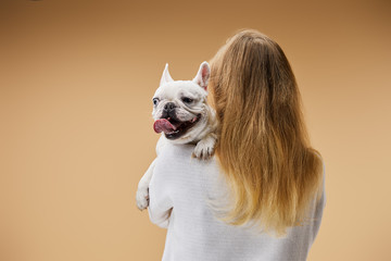 Wall Mural - woman in white sweater holding on shoulder french bulldog with dark nose on beige background