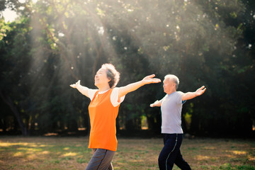 Sticker - happy Senior Couple Exercising In the Park