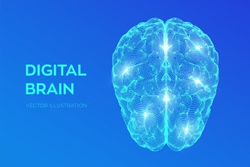 Wall Mural - Brain. Digital brain. 3D Science and Technology concept. Neural network. IQ testing, artificial intelligence virtual emulation science technology. Brainstorm think idea. Vector illustration.