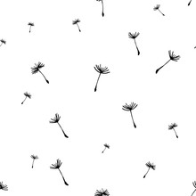 Floral Background, Seamless Pattern With Dandelion Fluff Silhouette. Beautiful Nature Backdrop. Trendy Stylish Wallpaper. Vector Illustration