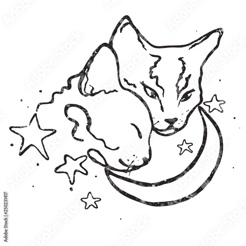 Vector Drawing Illustration Simple Line Design Two Cute Cats Together Moon And Stars Love Stock Vector Adobe Stock Vector Drawing Illustration Simple Line Design Two Cute Cats Together Moon And Stars Love Stock Vector Adobe Stock