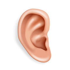 human ear organ hearing health care closeup realistic 3d isolated icon design vector illustration