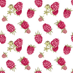 Wall Mural - Seamless pattern with hand drawn raspberries