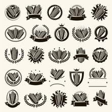 Corn Label And Element Set. Collection Icon Corn. Vector