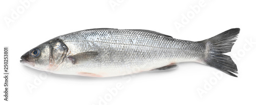 Photo: Tasty fresh seabass fish on white background Tasty fresh seabass fish on white background