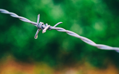 The abstract art design background of barb wire and water drop,film tone,blurry light aorund