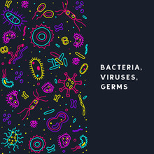 Bacteria, Viruses And Germs Vector Colorful Banner. Collection Of Various Microorganisms, Fungi, Protozoa On A Dark Background. Set Of Disease Causing-microbes In Neon Colors With Place For Your Text.