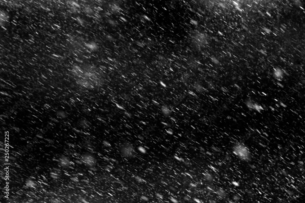 Falling real snowflakes, heavy snow - obrazy, fototapety, plakaty 