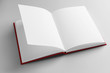 © Pixel-Shot - Open book on light background