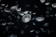 © Rabin - Jelly fish with dark background
