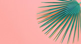 Fototapeta Do przedpokoju - Fan Palm Leaf on Living Coral colored background. Minimalism. Contemporary Art gallery Style. Creative fashion concept. Close-up tropical plant on coral.