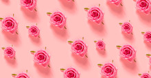 Pink Roses On A Pastel Pink Background