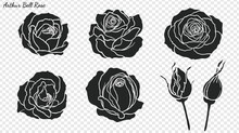 Rose Ornament Vector By Hand Drawing.Beautiful Flower On Transparent Background.Arthur Bell Rose Vector Art Highly Detailed In Line Art Style.Flower Tattoo For Paint Or Pattern.