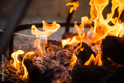 Roasting Marshmallows Closeup Fire Pit Burning Buy This Stock