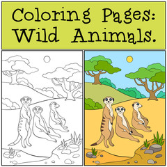 Wall Mural - Coloring Pages: Wild Animals. Little cute meerkat smiles.