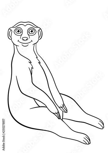 Coloring Pages Little Cute Meerkat Smiles Buy This Stock