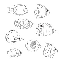 Tropical Fish Icon Set. Vector Isolated Characters. Butterflyfish, Clown Triggerfish, Damsel, Anemonefish, Angelfish, Clownfish Black White. Hand Drawn Marine Underwater Doodle Animals. Coloring Book.