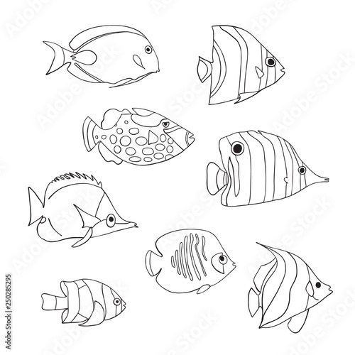 Tropical Fish Icon Set Vector Isolated Characters Butterflyfish Clown Triggerfish Damsel Anemonefish Angelfish Clownfish Black White Hand Drawn Marine Underwater Doodle Animals Coloring Book Stock Vector Adobe Stock Tropical Fish Icon Set Vector Isolated Characters Butterflyfish Clown Triggerfish Damsel Anemonefish Angelfish Clownfish Black White Hand Drawn Marine Underwater Doodle Animals Coloring Book Stock Vector Adobe Stock