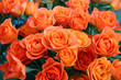 bouquet of orange roses.  light orange roses for flower textures 