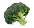 Fresh broccoli isolated on white background with clipping path