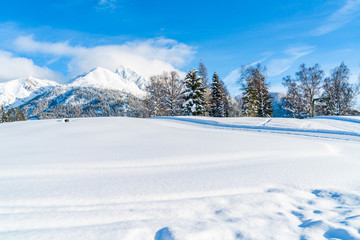 Wall Mural - Winter landscape with with snow covered Alps in Seefeld in the Austrian state of Tyrol. Winter in Austria