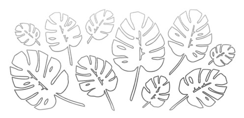 Sticker - Silver Philodendron Leaves Set. Vector.