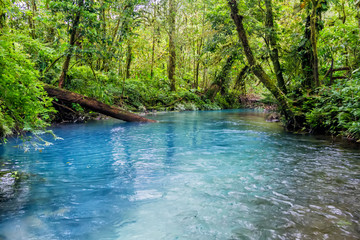 Rio Celeste, Tenorio volcano national park, Costa Rica