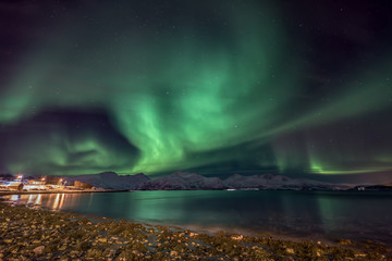 Wall Mural - Amazing aurora borealis - northern lights - view from coast in Vagnes, near Tromso city -  north Norway