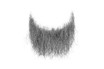 Wall Mural - Disheveled grey beard isolated on white. Mens fashion