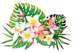 Watercolor summer tropical design for banner or flyer with exotic palm leaves, Plumeria flowers