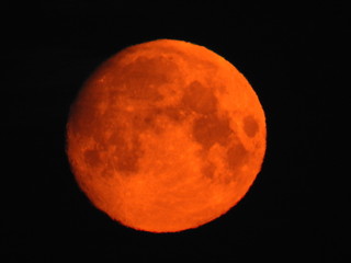 bloodmoon
