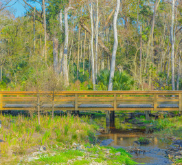 Wall Mural - Stream flowing under walkway in Nocatee, St Johns County, Florida