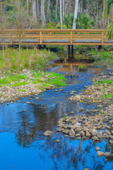 Wall Mural - Stream flowing under walkway in Nocatee, St Johns County, Florida