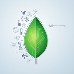 synthetic Biology