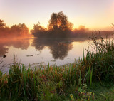 Fototapeta Krajobraz - Dawn on the river