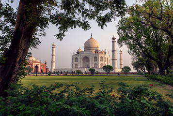 Wall Mural - Taj Mahal mausoleum in Agra