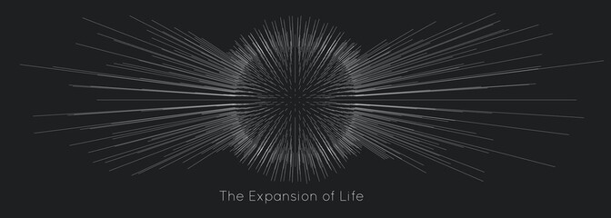 Wall Mural - Expansion of life. Vector sphere explosion background. Small particles strive out of center. Blurred debrises into rays or lines under high speed of motion. Burst, explosion backdrop.