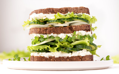 Sticker - Sandwich with cucumber, lettuce, microgreen and ricotta. Diet, healthy, vegetarian breakfast.